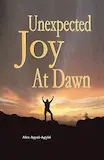 Unexpected Joy at Dawn Book Cover